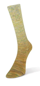 17 Paint Gradient Sock NY