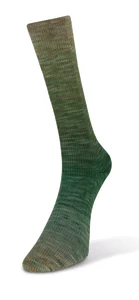 200 Watercolor Sock NY